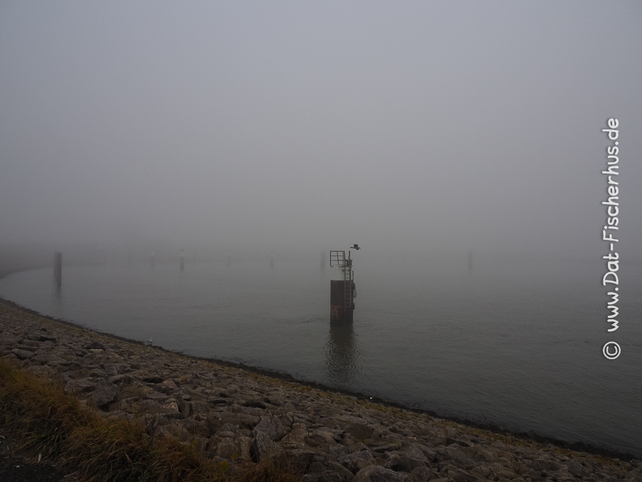 Nebel an der Nordsee