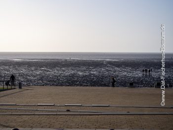 Büsum Watt-Tribüne