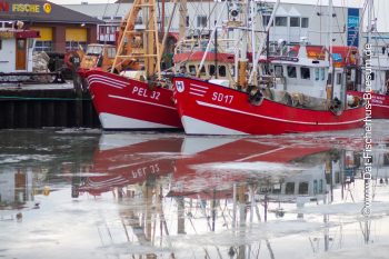 Büsum Hafen