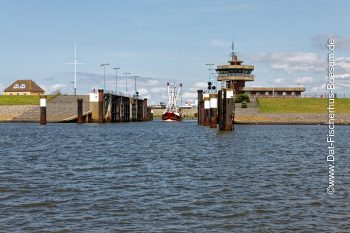 Büsum Hafen